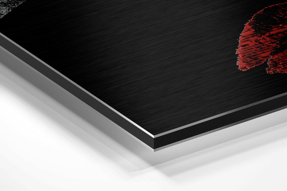 Divided Brushed Aluminium Dibond Wall Art.
