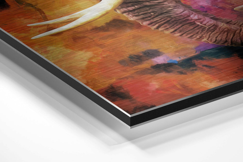 Elephant Brushed Aluminium Dibond Wall Art.