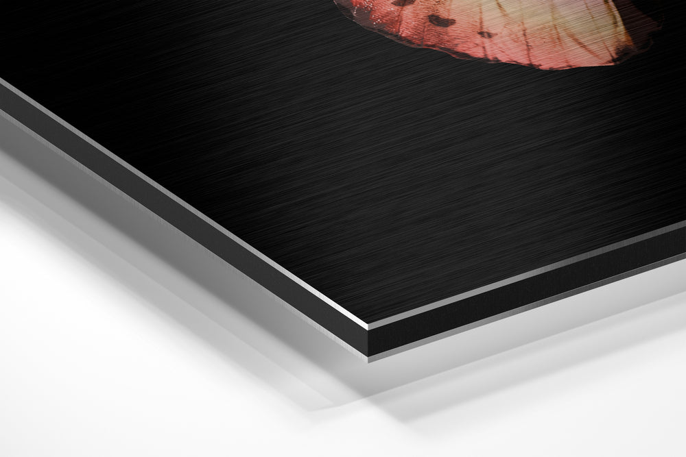 Butterfly Brushed Aluminium Dibond Wall Art.