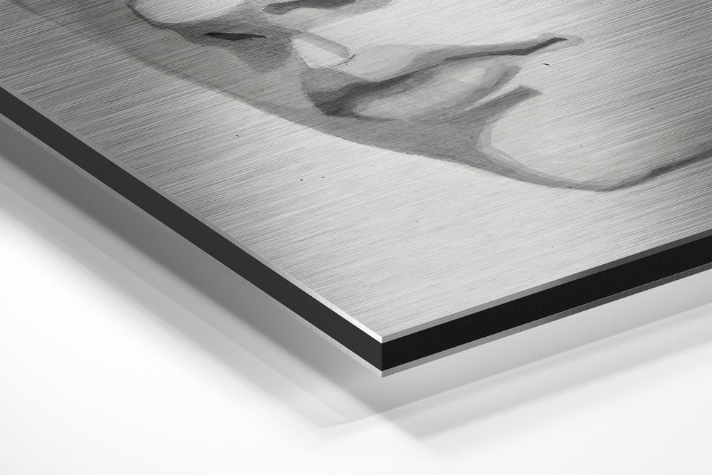 The Kid Brushed Aluminium Dibond Wall Art.