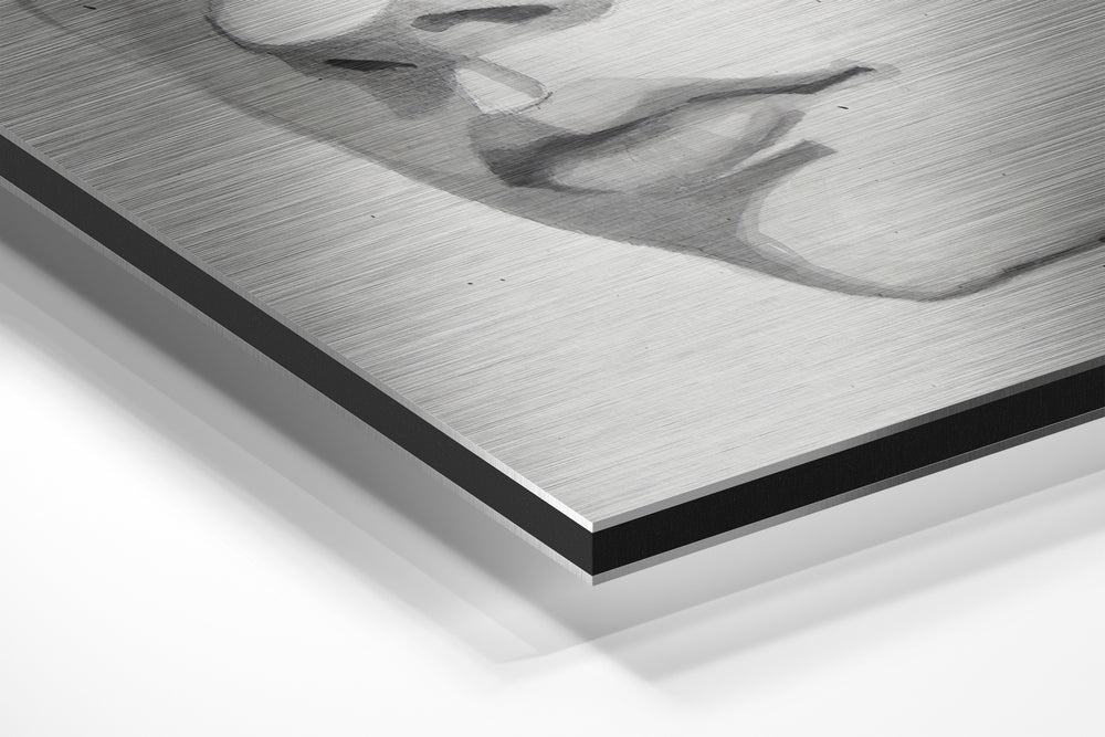 The Kid Brushed Aluminium Dibond Wall Art.