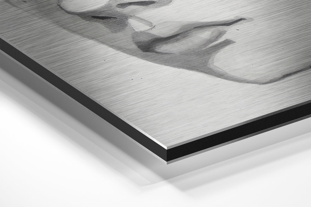 The Kid Brushed Aluminium Dibond Wall Art.