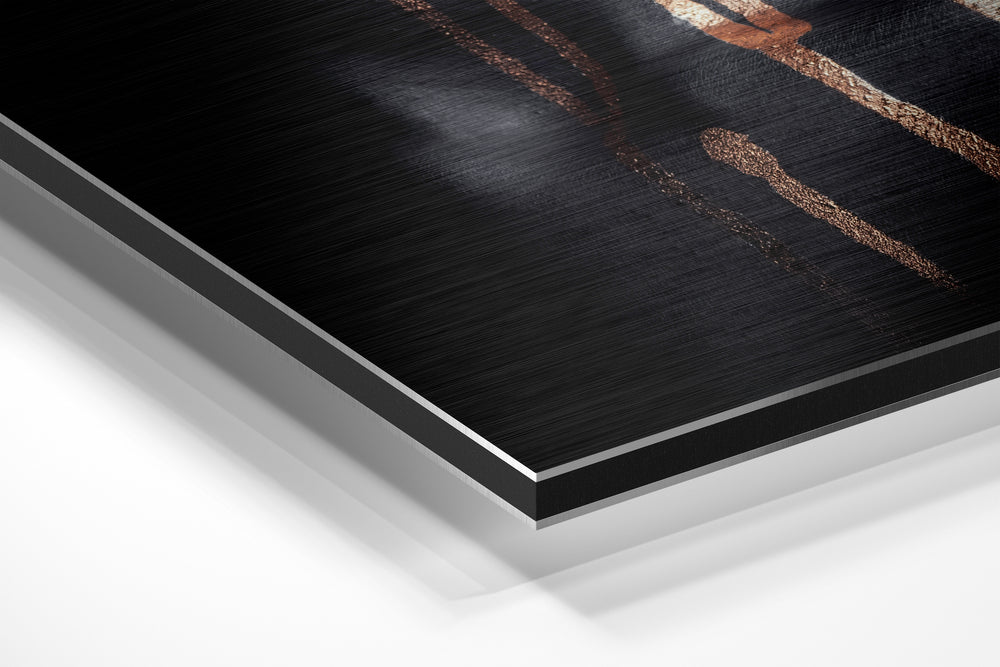 Women Brushed Aluminium Dibond Wall Art.
