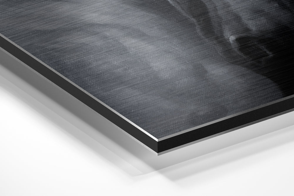 Horse Brushed Aluminium Dibond Wall Art.