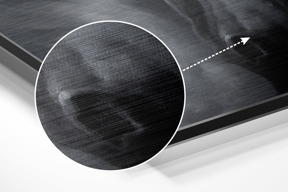 Horse Brushed Aluminium Dibond Wall Art.