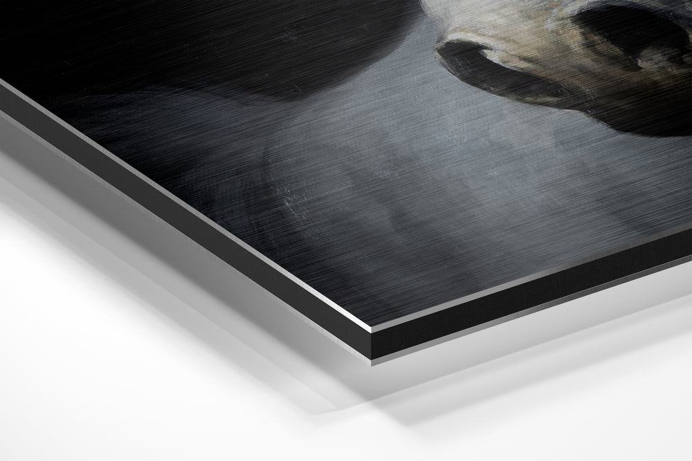 Horse Brushed Aluminium Dibond Wall Art.