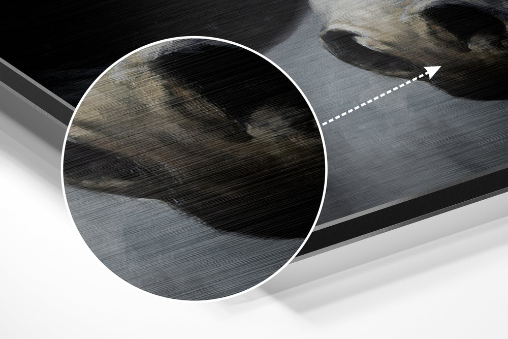 Horse Brushed Aluminium Dibond Wall Art.