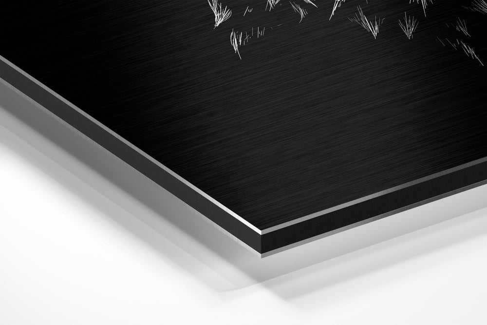 Owl Brushed Aluminium Dibond Wall Art.