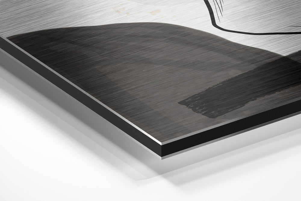 Line Art Brushed Aluminium Dibond Wall Art.