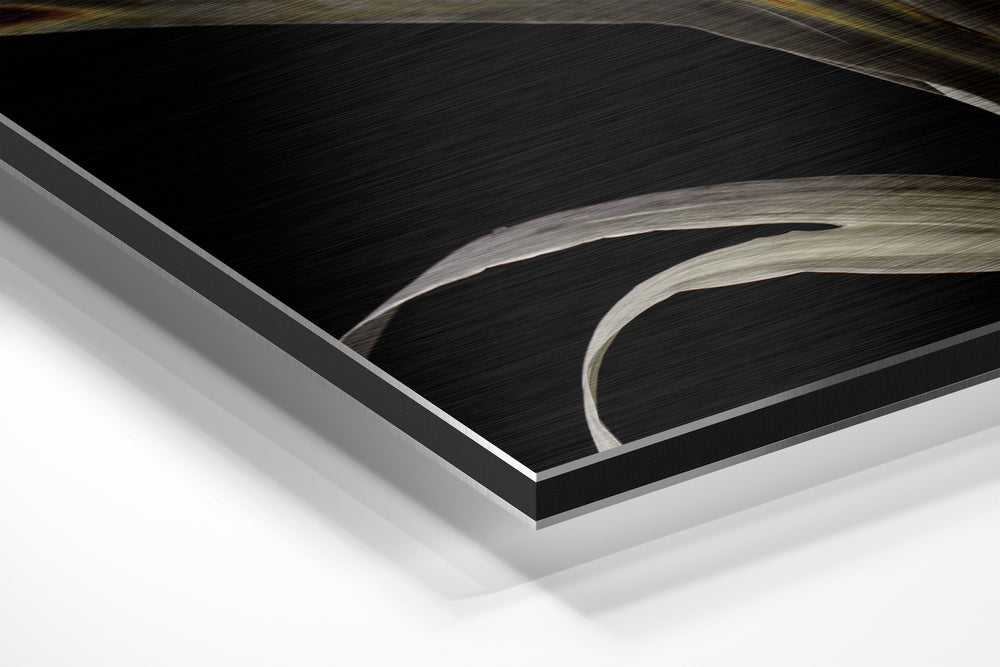 Lillium Brushed Aluminium Dibond Wall Art.