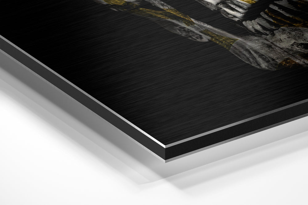 Skull Brushed Aluminium Dibond Wall Art.