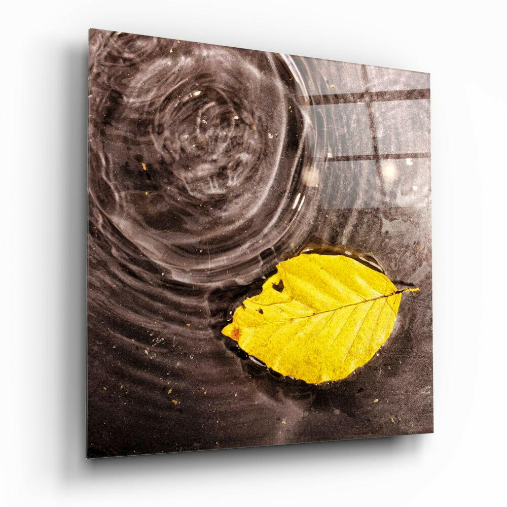 Zen macro cinematic glass wall art in meditation studio reception