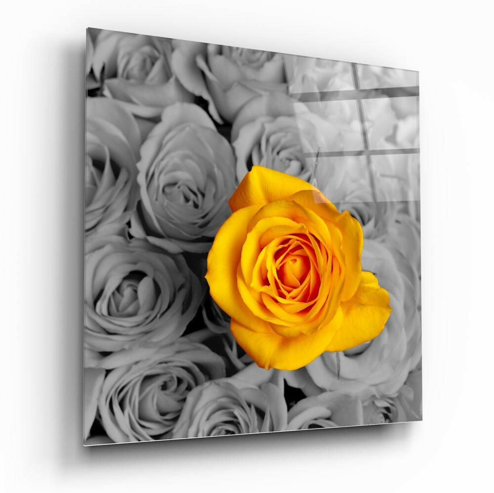 Yellow Rose Glass Wall Art.