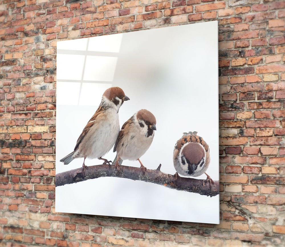 Birds Glass Wall Art.