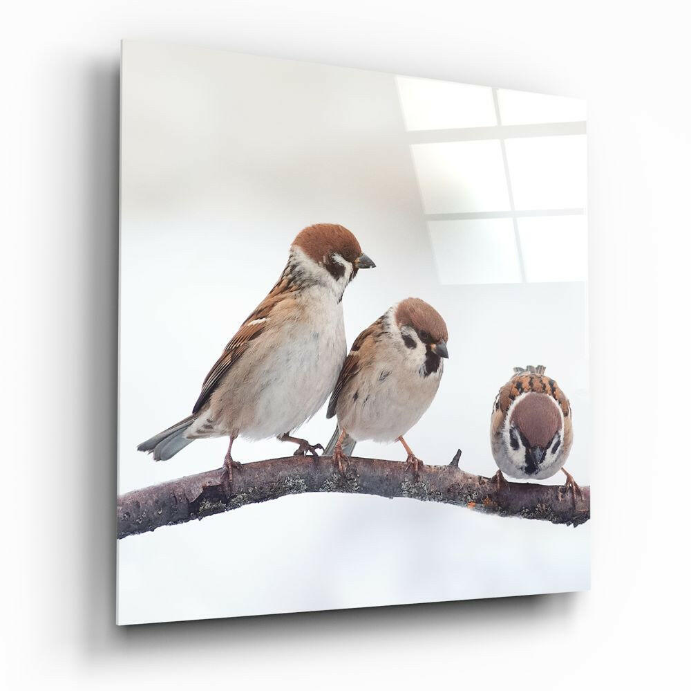 Birds Glass Wall Art.