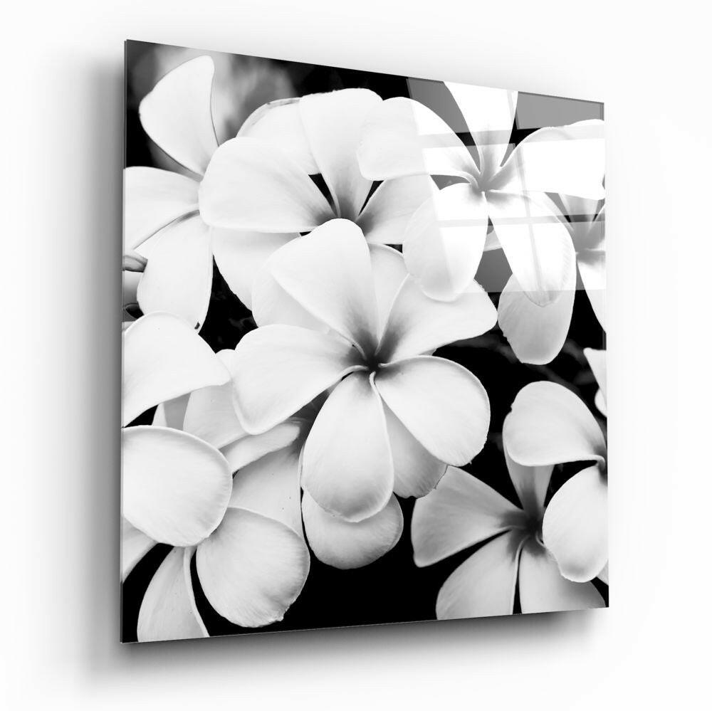 Black and White Flowers Glass Wall Art.