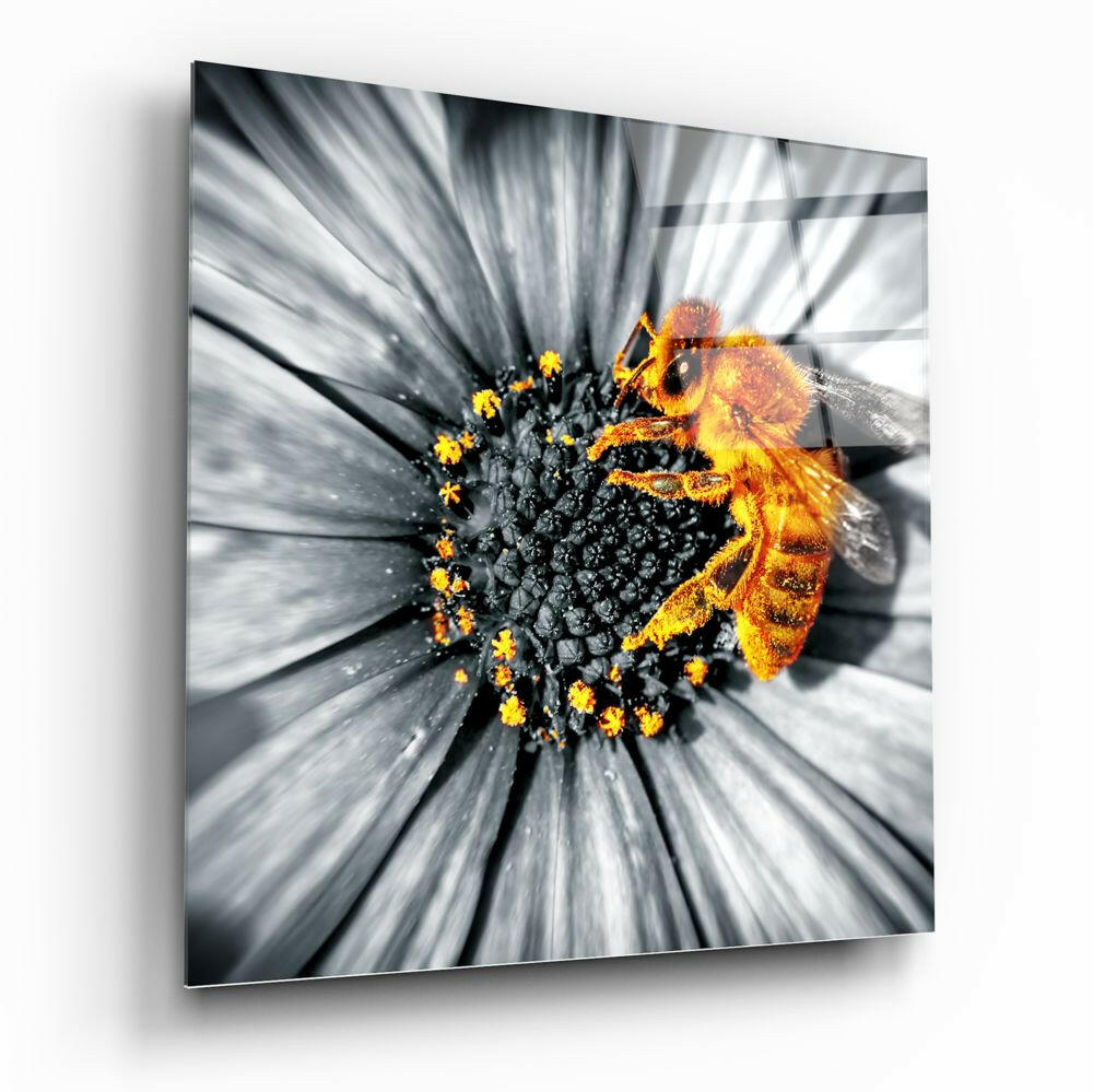 Bee Glass Wall Art.