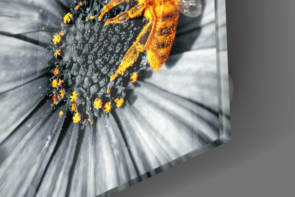 Bee Glass Wall Art.