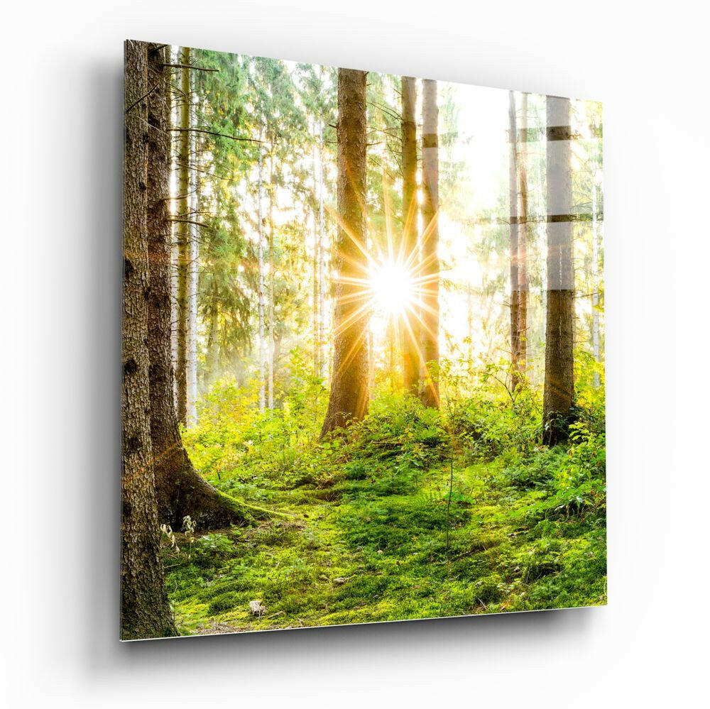 Forest Glass Wall Art.