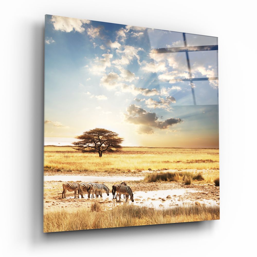 Africa (Wide Meadow) Glass Wall Art.