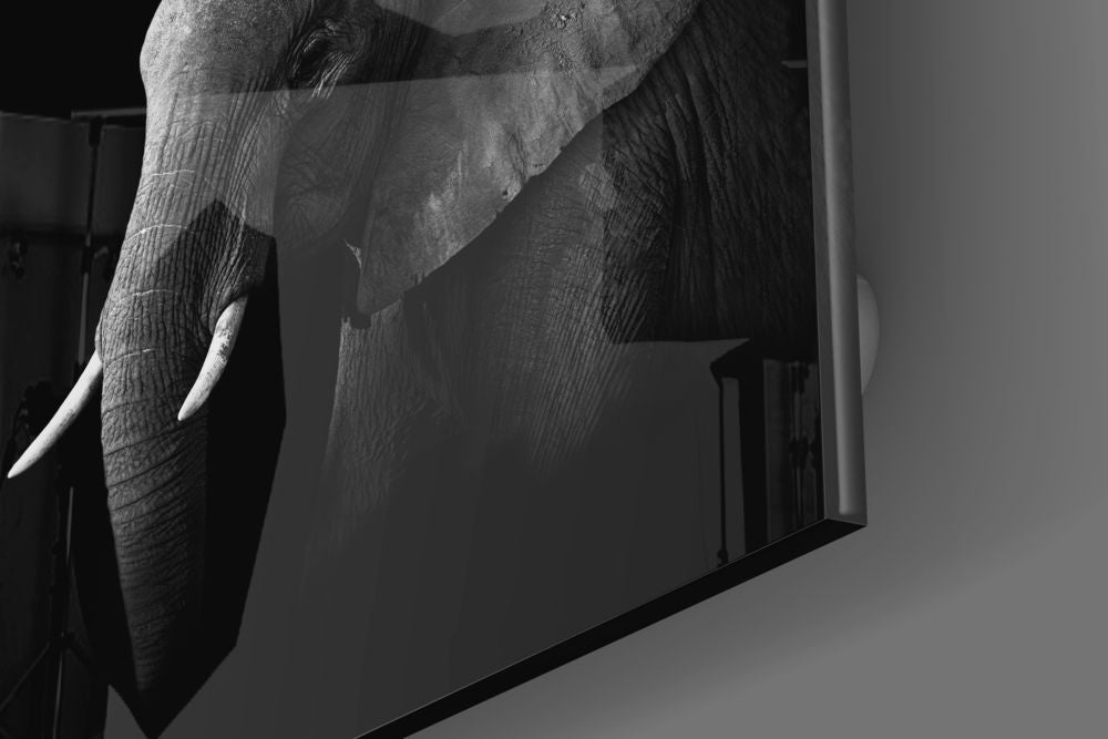 Elephant Glass Wall Art.