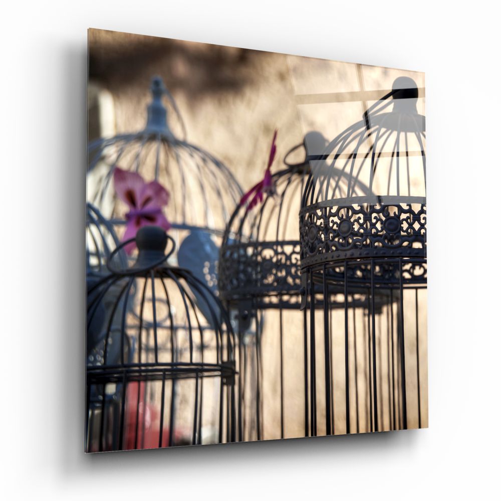 Bird Cage Glass Wall Art.