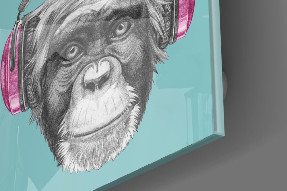 Monkey Glass Wall Art.