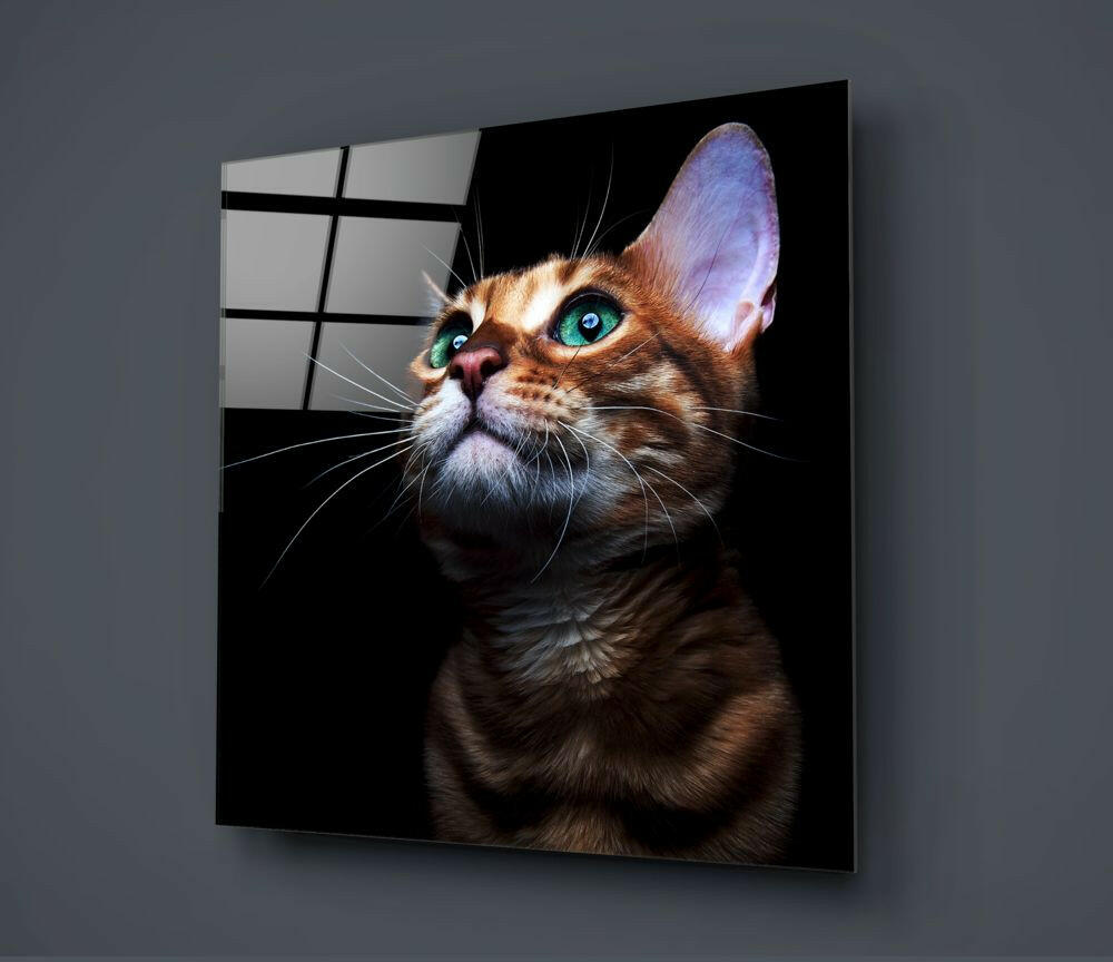 Kitten Glass Wall Art.