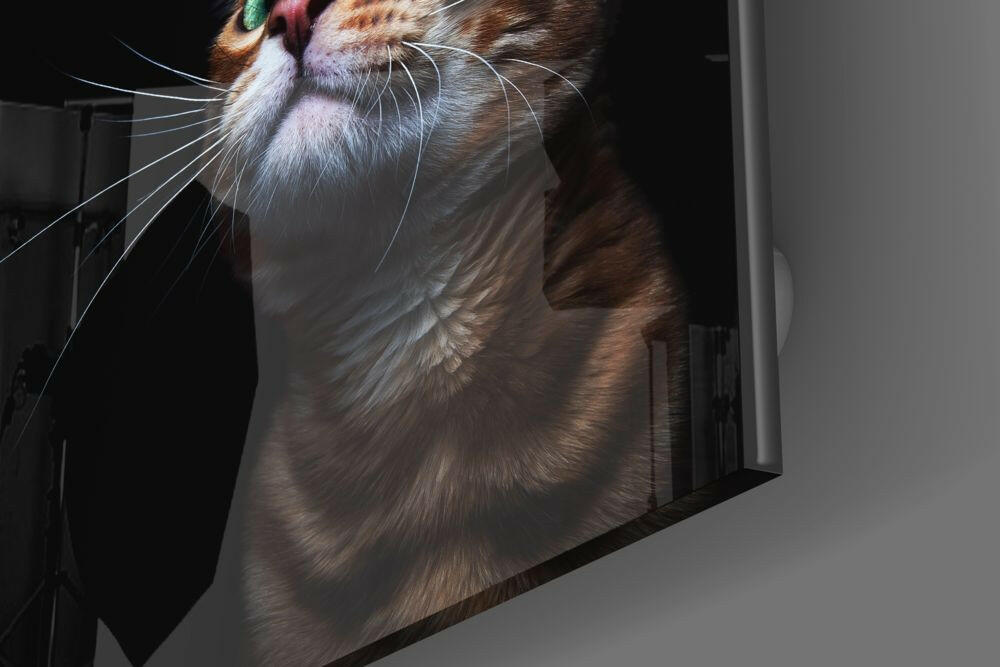 Kitten Glass Wall Art.