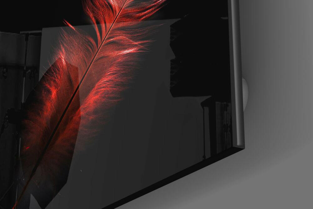 Colored Feather Glass Wall Art.