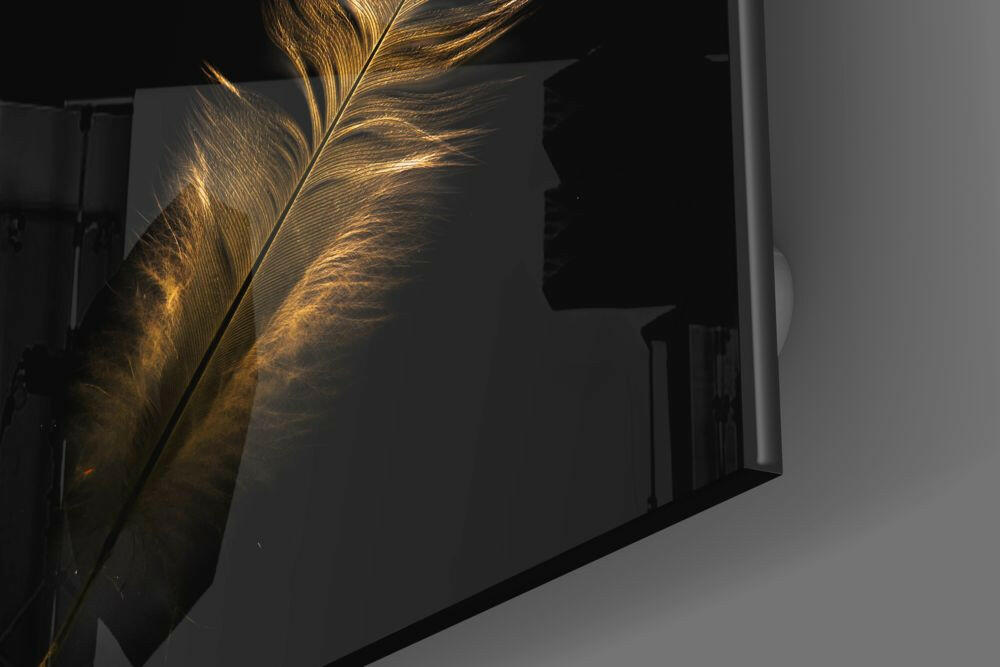 Colored Feather Glass Wall Art.