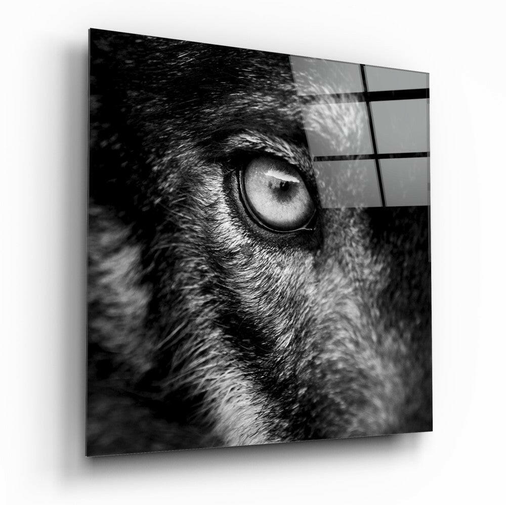 Wolf's Eye Glass Wall Art.