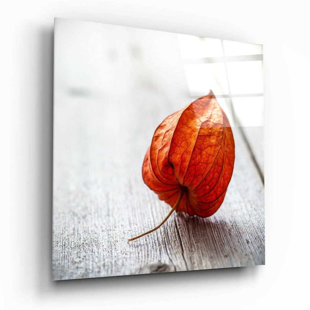 Dry Leaf Glass Wall Art.