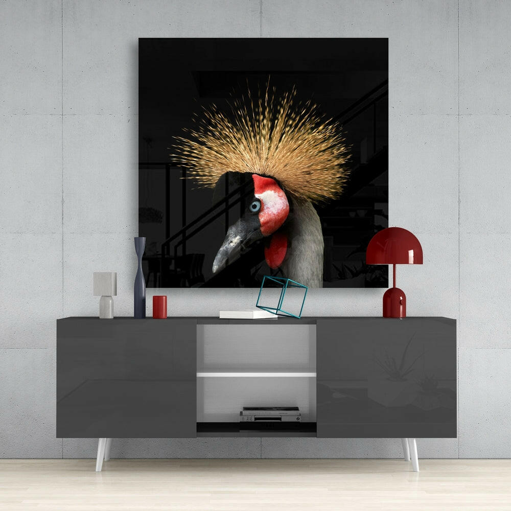 Black Crowned Crane.