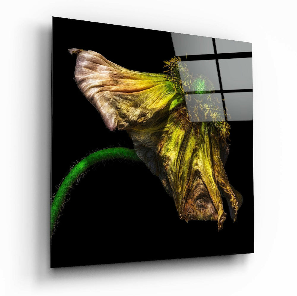 Flower Glass Wall Art.