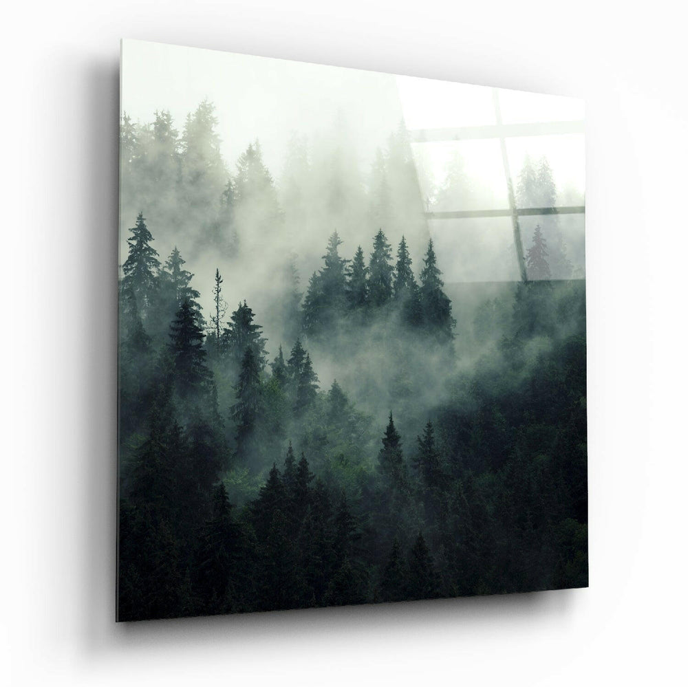 Foggy Forest Glass Wall Art.