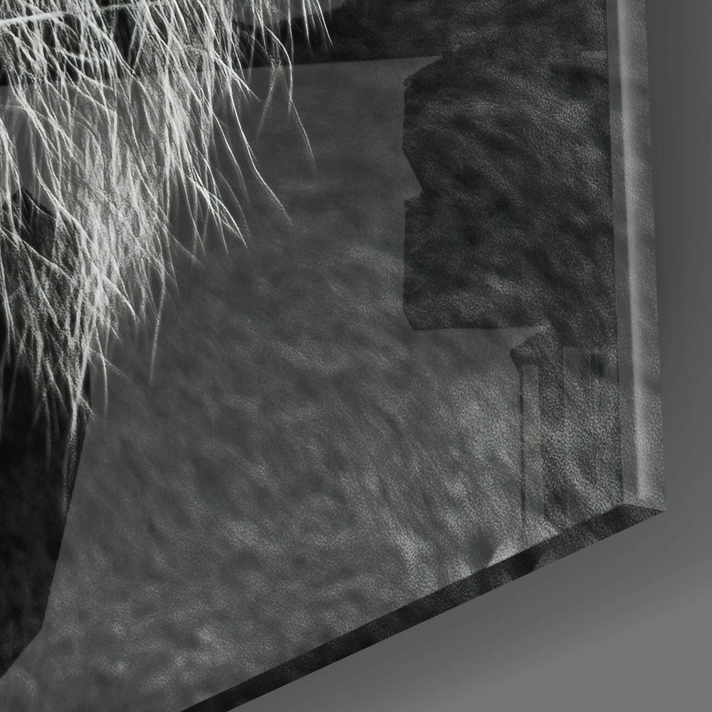 Tiger's Look Glass Wall Art | Insigne Art Design.