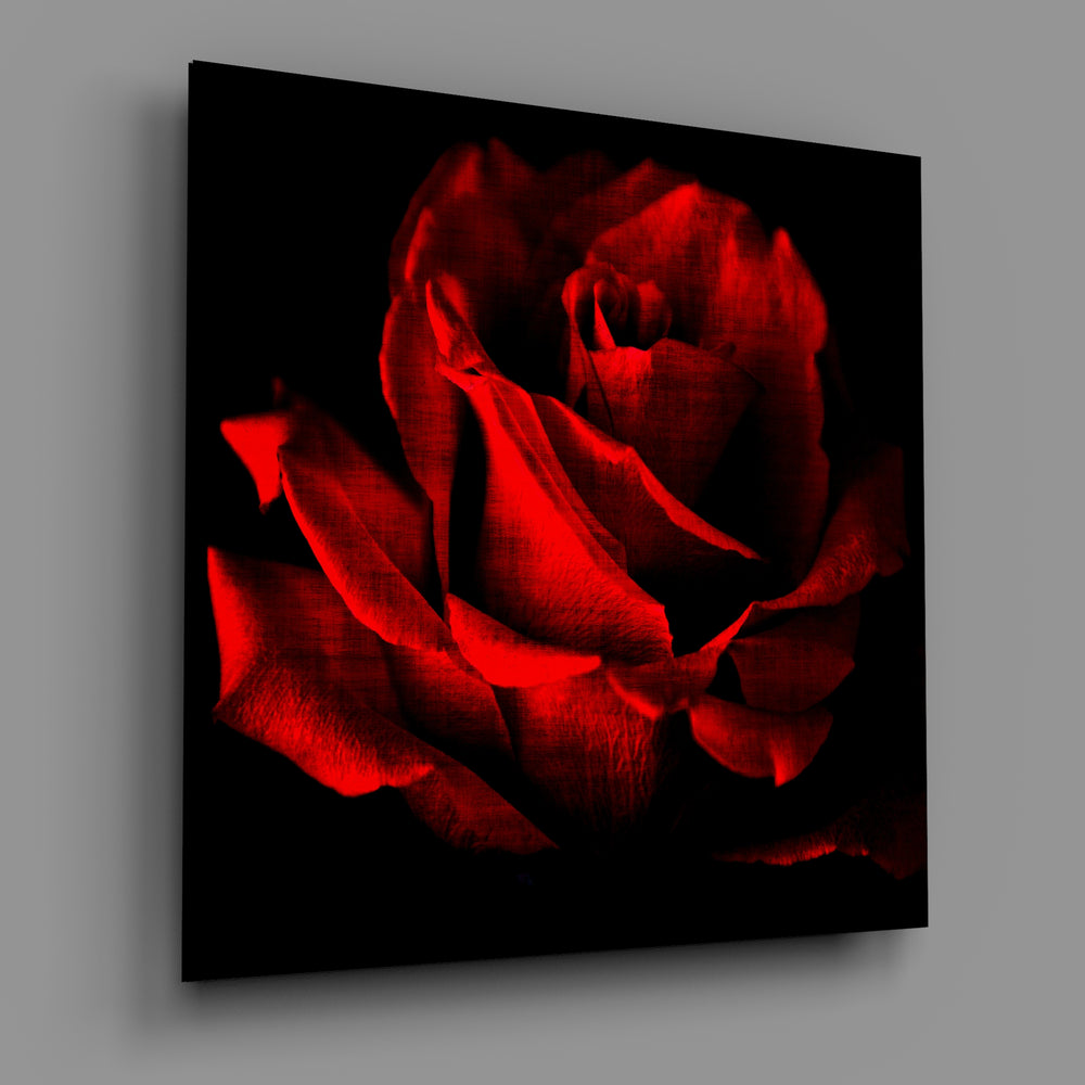 Red Rose Glass Wall Art | Insigne Art Design.