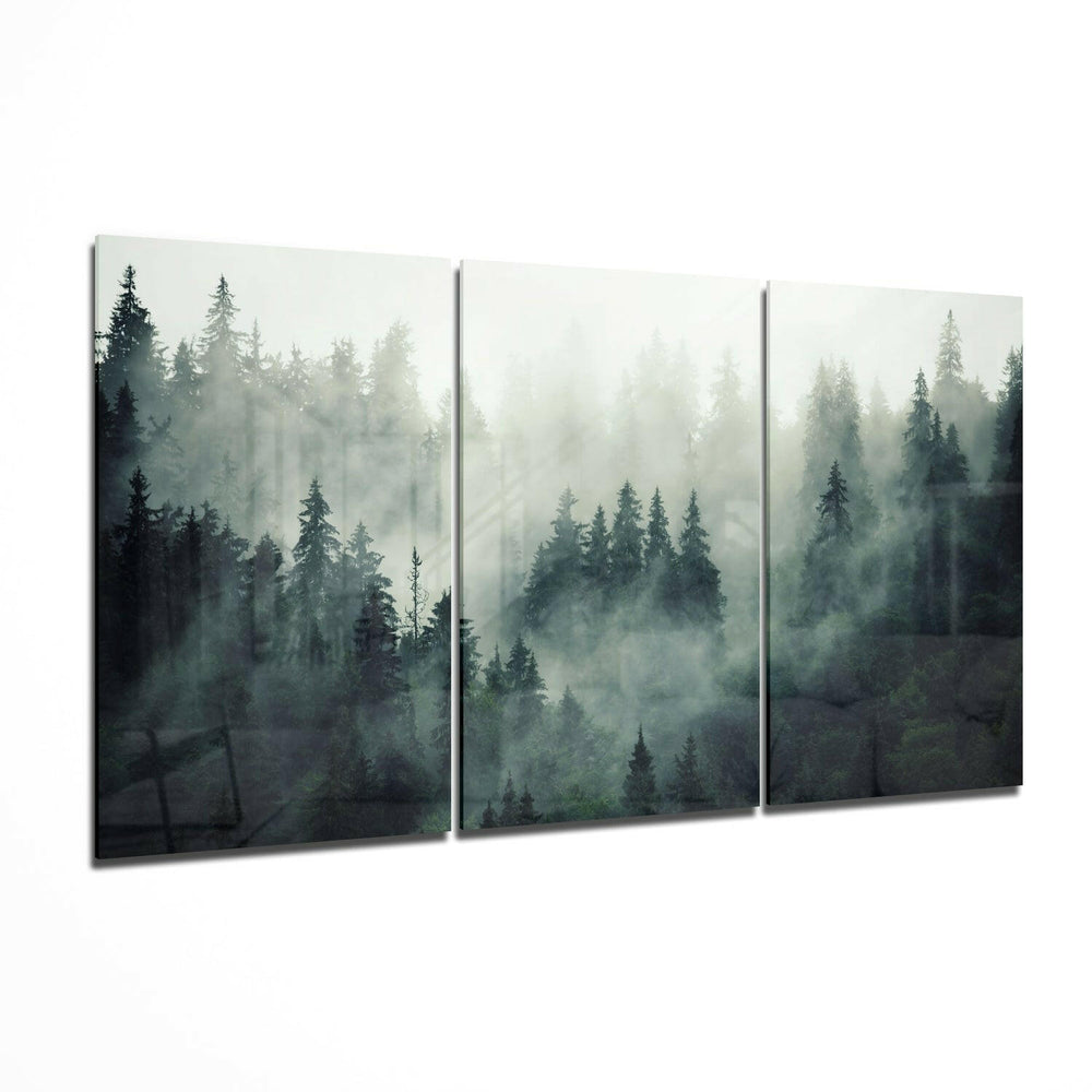 Foggy Forest Glass Wall Art.