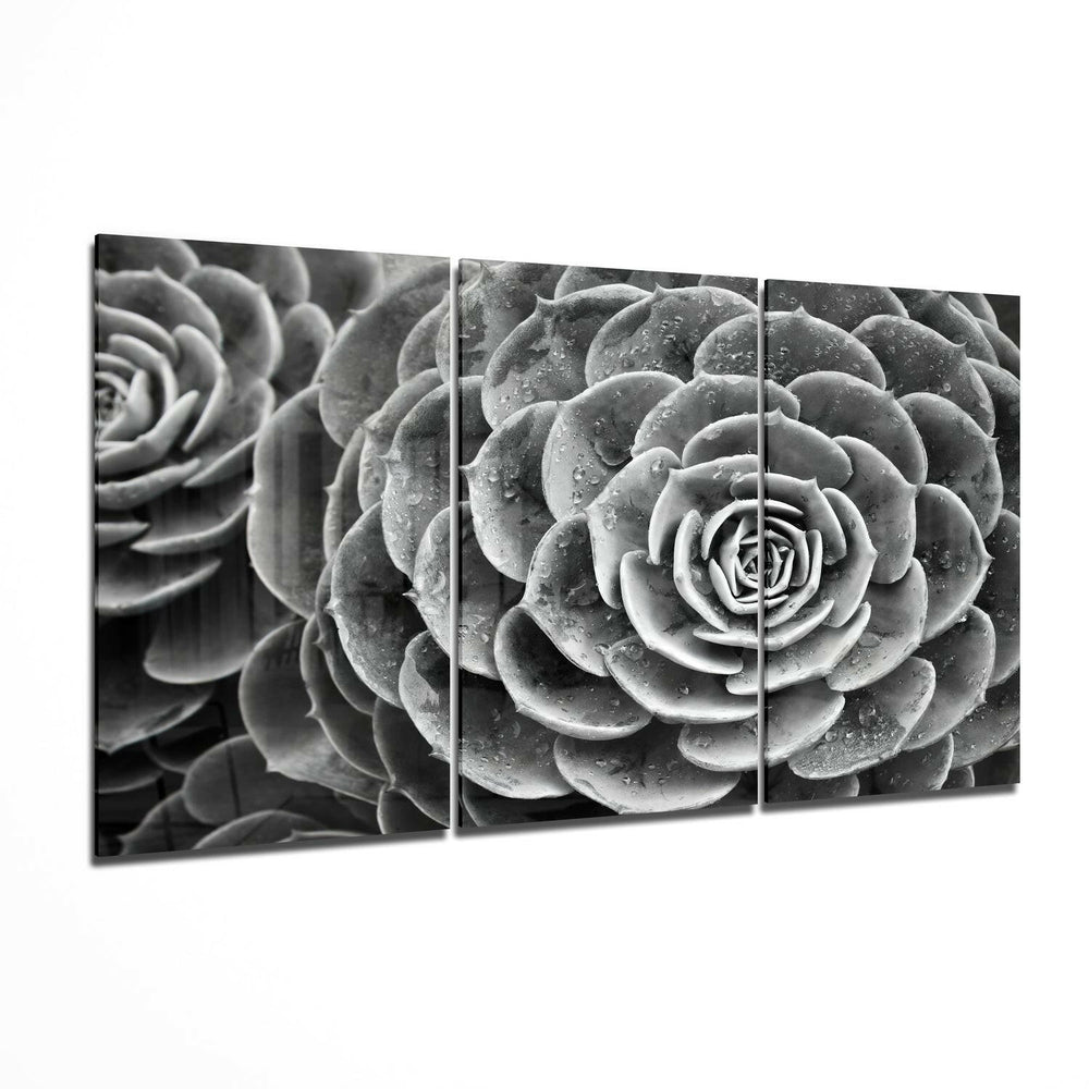Succulent Glass Wall Art.