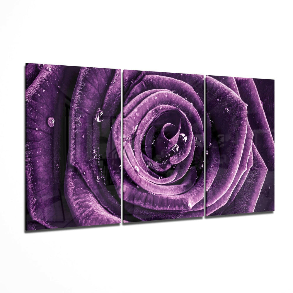Rose Glass Wall Art.
