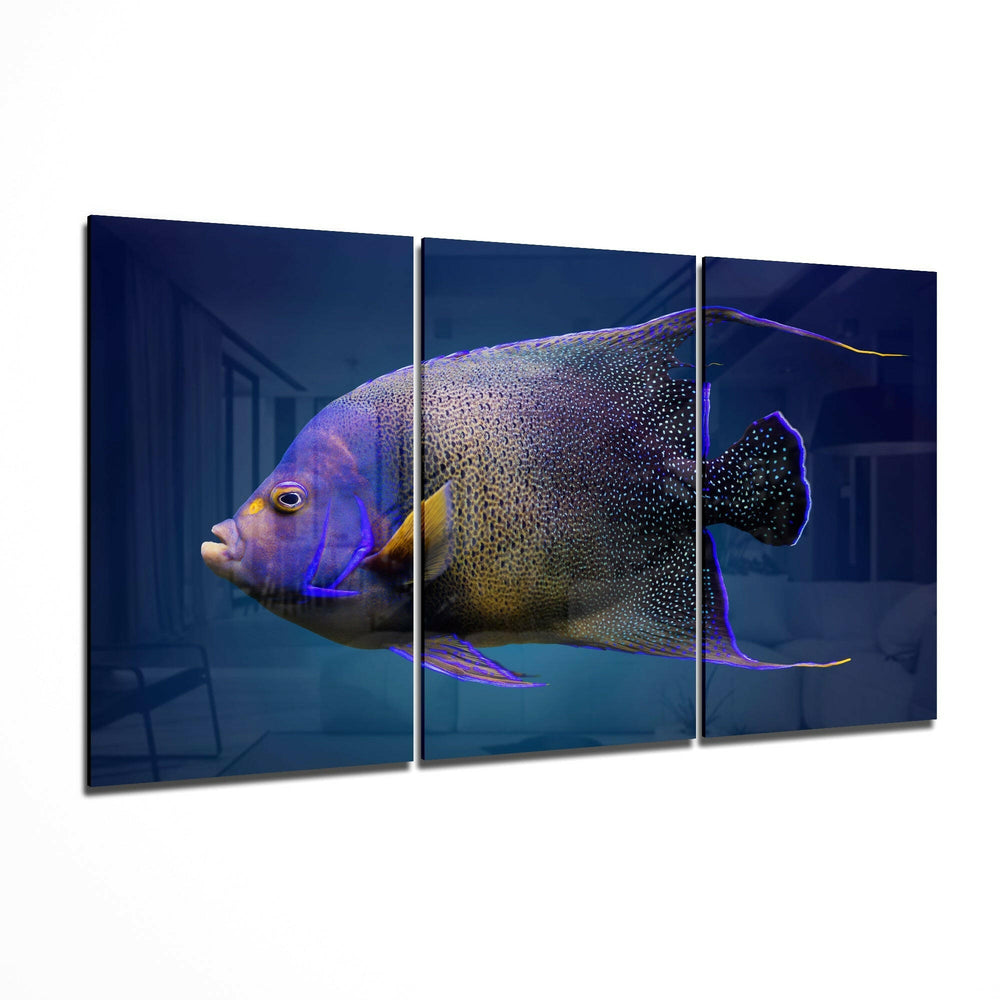 Queen Angel Fish Glass Art.