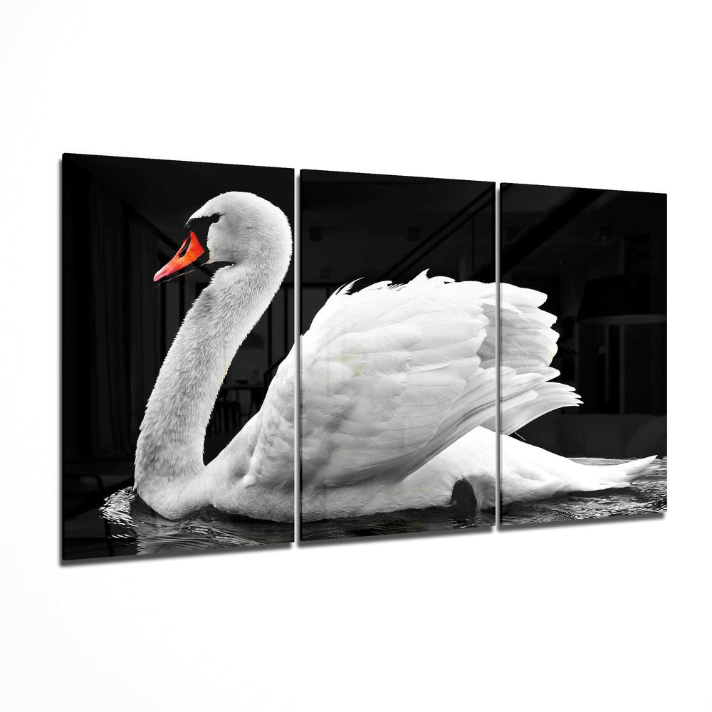 Swan Glass Art.