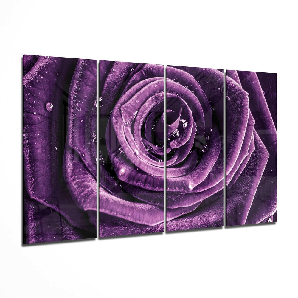 Purple Rose 4 Pieces Mega Glass Wall Art (59"x36") | Insigne Art Design.