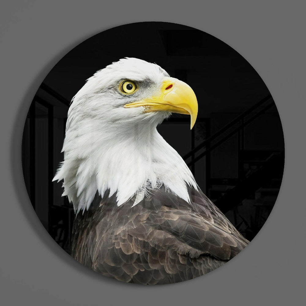 Eagle Glass Wall Art.