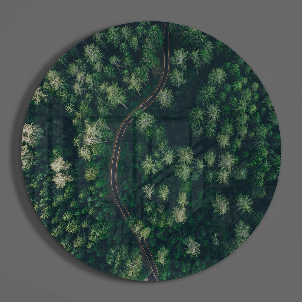 Green Forest Glass Wall Art.