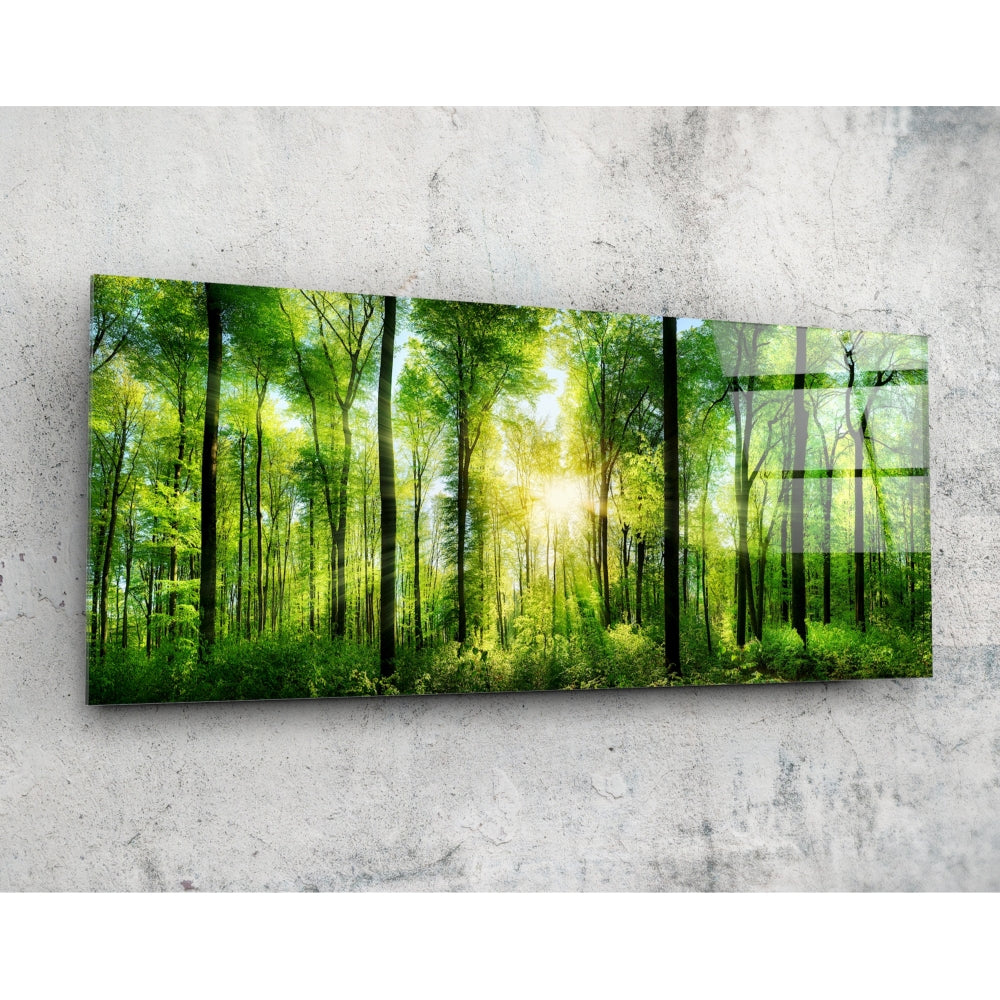 Forest Glass Wall Art (36"x14").