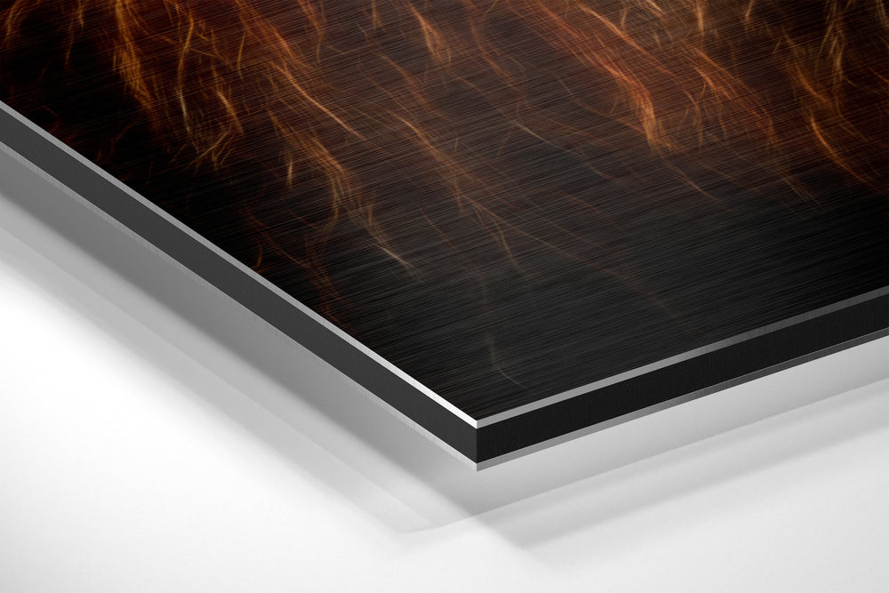 Lion Brushed Aluminium Dibond Wall Art.