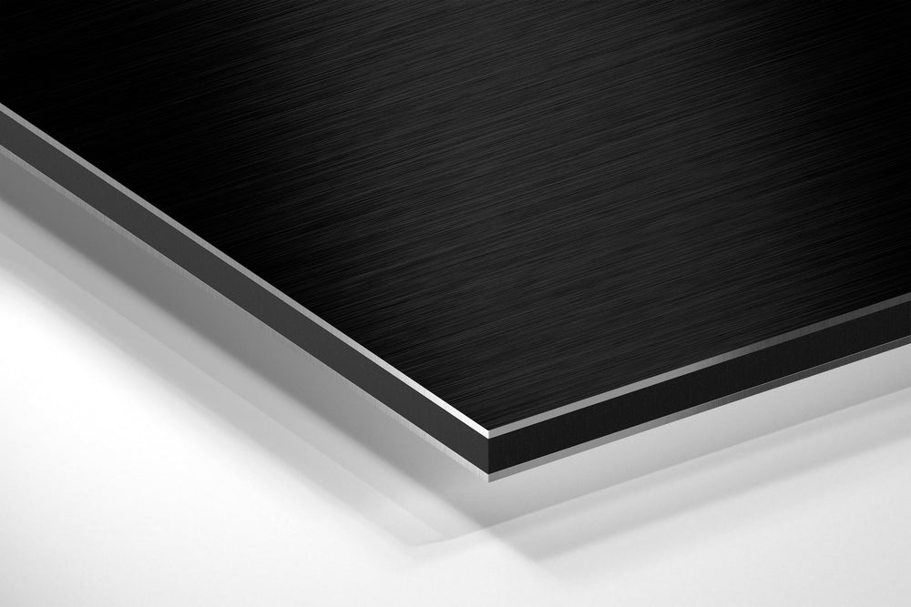 Leon Brushed Aluminium Dibond Wall Art.