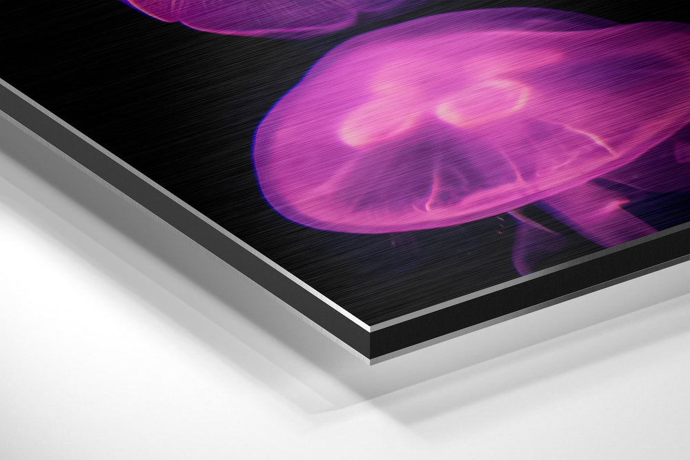 Brushed Aluminium Dibond Wall Art.